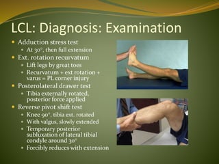 Knee Problems and Knee Injuries Overview | PPTX