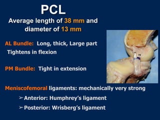 Surgical reconstruction  
Indications
• Acute combined injuries
• Acute bony avulsion
• Symptomatic chronic PCL
 