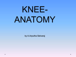 KNEE-
ANATOMY
by A.Arputha Selvaraj
 