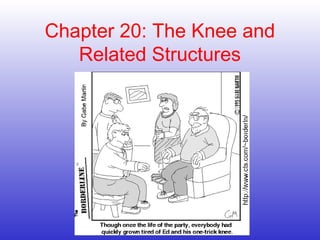 Chapter 20: The Knee and
Related Structures

 