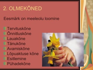 2. OLMEKÕNED Eesmärk on meeleolu loomine Tervituskõne Õnnitluskõne  Lauakõne Tänukõne Avamiskõne  Lõpuaktuse kõne Esitlemine Pühadekõne 