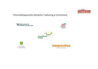 Virkemiddelapparatets	
  deltakelse	
  i	
  realisering	
  av	
  Knertenland 	
  
 