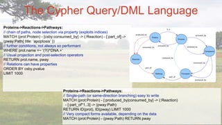 The Cypher Query/DML Language
Proteins->Reactions->Pathways:
// chain of paths, node selection via property (exploits indi...