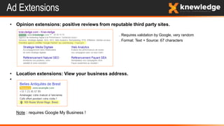 Ad Extensions
• Opinion extensions: positive reviews from reputable third party sites.
. Requires validation by Google, very random
. Format: Text + Source: 67 characters
• Location extensions: View your business address.
•
Note : requires Google My Business !
 