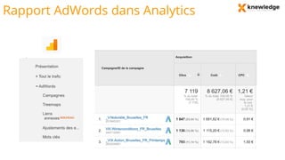 Rapport AdWords dans Analytics
 