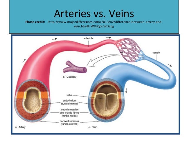 Knezich video iv therapy power point