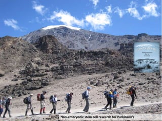 Non-embryonic stem cell research for Parkinson’s
 