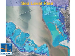 Sea Level Rise

 