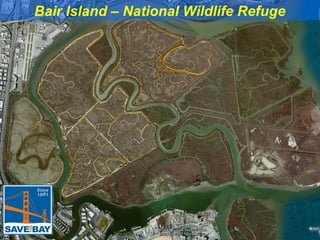 Bair Island – National Wildlife Refuge

 