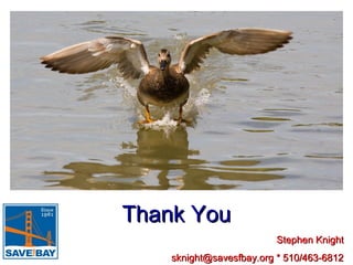 Thank You
Stephen Knight
sknight@savesfbay.org * 510/463-6812

 