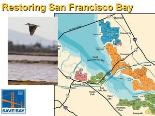 Restoring San Francisco Bay

 