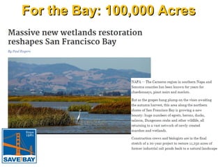 For the Bay: 100,000 Acres

 