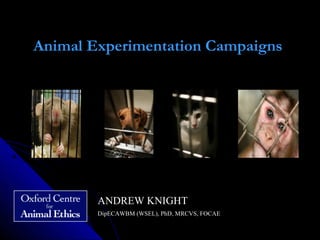 Animal Experimentation Campaigns
    
ANDREW KNIGHTANDREW KNIGHT
DipECAWBM (AWSEL), DACAW,DipECAWBM (AWSEL), DACAW,
PhD, MANZCVS, MRCVS, SFHEAPhD, MANZCVS, MRCVS, SFHEA
 