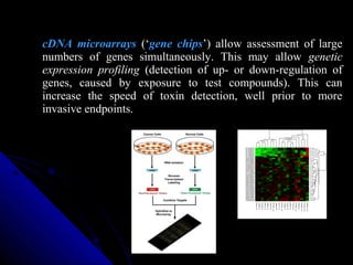 cDNA microarrays (‘gene chips’) allow assessment of large
numbers of genes simultaneously. This may allow genetic
expressi...