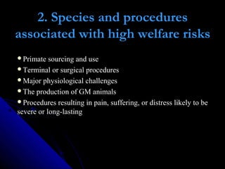 2. Species and procedures
associated with high welfare risks
Primate sourcing and use
Terminal or surgical procedures
Major physiological challenges
The production of GM animals
Procedures resulting in pain, suffering, or distress likely to be
severe or long-lasting
 