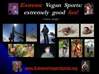 Extreme Vegan Sports:
 extremely good fun!
         Andrew Knight




               




 www.ExtremeVeganSports.org
 