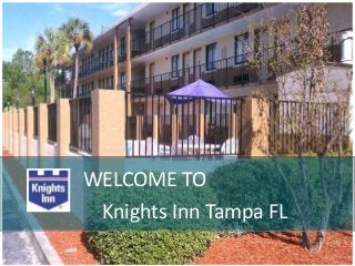 WELCOME TO
 Knights Inn Tampa FL
 