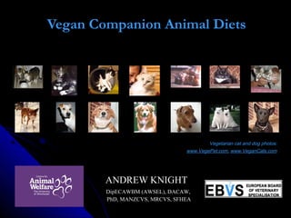 Vegan Companion Animal Diets
    
Vegetarian cat and dog photos:
www.VegePet.com, www.VeganCats.com
ANDREW KNIGHTANDREW KNIGHT
DipECAWBM (AWSEL), DACAW,DipECAWBM (AWSEL), DACAW,
PhD, MANZCVS, MRCVS, SFHEAPhD, MANZCVS, MRCVS, SFHEA
 