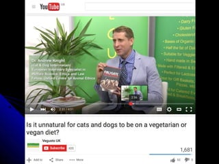 Vegan companion animal diets