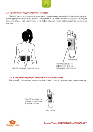 26
DreamTeam SECRETUM NATURALIS™
22. Проблемы с поджелудочной железой
Во многих случаях плохо функционирующая поджелудочная железа и плохо функ-
ционирующий желудок вызывают спинную боль. В этом случае накладывай пластыри
низко на спине, как на рисунке, и на рефлекторные точки поджелудочной железы на
ступнях.
23. Нарушение функций пищеварительной системы
Наклеивай пластыри на рефлекторные точки органов пищеварения, на низ ступни.
Наклей пластыри низко на спине
Наклей пластыри на
подъем ступни снизу,
в центре плюсны
Наклей пластыри на
рефлекторную точку
поджелудочной железы
Низ ступни
Низ ступни
 