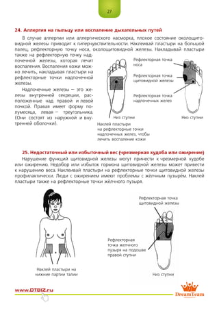 27
www.dtbiz.ru
24. Аллергия на пыльцу или воспаление дыхательных путей
В случае аллергии или аллергического насморка, плохое состояние околощито-
видной железы приводит к гиперчувствительности. Наклеивай пластыри на большой
палец, рефлекторную точку носа, околощитовидной железы. Накладывай пластыри
также на рефлекторную точку над-
почечной железы, которая лечит
воспаления. Воспаления кожи мож-
но лечить, накладывая пластыри на
рефлекторные точки надпочечной
железы.
Надпочечные железы – это же-
лезы внутренней секреции, рас-
положенные над правой и левой
почкой. Правая имеет форму по-
лумесяца, левая – треугольника.
(Они состоят из наружной и вну-
тренней оболочки).
25. Недостаточный или избыточный вес (чрезмерная худоба или ожирение)
Нарушение функций щитовидной железы могут принести к чрезмерной худобе
или ожирению. Недобор или избыток гормона щитовидной железы может привести
к нарушению веса. Наклеивай пластыри на рефлекторные точки щитовидной железы
профилактически. Люди с ожирением имеют проблемы с жёлчным пузырём. Наклей
пластыри также на рефлекторные точки жёлчного пузыря.
Наклей пластыри на
нижние партии талии
Наклей пластыри
на рефлекторные точки
надпочечных желез, чтобы
лечить воспаление кожи
Рефлекторная точка
носа
Рефлекторная точка
надпочечных желез
Низ ступни Низ ступни
Рефлекторная точка
щитовидной железы
Рефлекторная точка
щитовидной железы
Рефлекторная
точка желчного
пузыря на подошве
правой ступни
Низ ступни
 