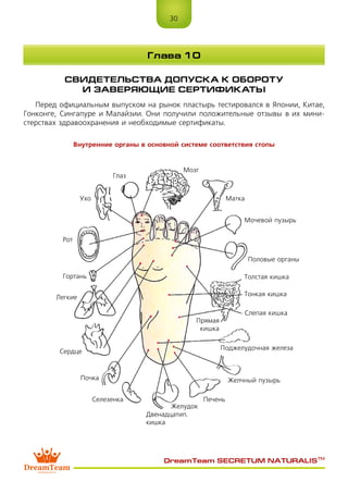 30
DreamTeam SECRETUM NATURALIS™
СВИДЕТЕЛЬСТВА ДОПУСКА К ОБОРОТУ
И ЗАВЕРЯЮЩИЕ СЕРТИФИКАТЫ
Перед официальным выпуском на рынок пластырь тестировался в Японии, Китае,
Гонконге, Сингапуре и Малайзии. Они получили положительные отзывы в их мини-
стерствах здравоохранения и необходимые сертификаты.
Глава 10
Внутренние органы в основной системе соответствия стопы
Глаз
Мозг
Матка
Мочевой пузырь
Половые органы
Толстая кишка
Тонкая кишка
Слепая кишка
Поджелудочная железа
Желчный пузырь
Печень
Желудок
Селезенка
Почка
Сердце
Легкие
Гортань
Рот
Ухо
Двенадцатип.
кишка
Прямая
кишка
 