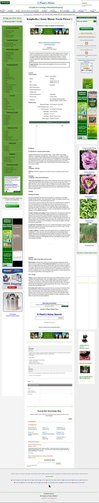 A Plant's Home                                                                                                                Search
                                                                                                                                                                                                                                               Custom Search


                                                                            A Guide to Creating a Beautiful Property
A Plant's            Garden                  The                                                 Trees &               Water &                      Garden                                 Natural        Winter            Organic vs Non-                A Recipe's
                                                          Annuals           Perennials                                                                                     Pests
Home                 Design                  Soil                                                Shrubs                Marsh                        Structures                             Garden         Care              Organic                        Home


                                                            The Home Stores In Meridale, NY, it is: 7:46 AM, Friday, January 20th, 2012, Eastern Standard Time.

   Living on a Few Acres                                                                                                                                                                                                Look up your Hardiness Zone!
                                                                    Kniphofia ( Jenny Bloom Torch Flower )
  A Homesteader's Guide                                                                                                                                                                                             Enter your zipcode:                          



                                                                                                The definitive website on plants & horticulture                                                                               Trees at Arborday.org

            The Pluses and Minuses

     l    Living in the Country
     l    The Tradeoffs
                                                                                                                                                                                                                               Back to Previous Page
     l    Realities
     l    Change of Lifestyle
     l    Family Satisfaction                                                                                                                                                                                            Make Our Site Your Home Page


              Acquiring The Farm                                                                                                                                                                                            Enter our Homesteading Blog

     l    Selecting Location
                                                                                                           Back to Plant Encyclopedia Index
     l    Finding What you Want                                                                                        Google Plant Images
                                                                                                                                                                                                                    Join our Blog - Subscribe to our RSS feed
     l    Pulling the Trigger
                                                                                                                             Kniphofia
            Making Improvements                                                                                    ( Jenny Bloom Torch Flower )                                                                              Enter our Members Forum

     l    Remodeling House
                                                                               Distinctive border perennial with pink flower spikes, fading to cream and coral-
     l    Building New House
                                                                               pink, on erect stems. Leaves are narrow, long, and grasslike. This is a sturdy,                                                     Join Member Forum - Subscribe to our RSS
     l    Out Buildings
                                                                               but graceful plant with few problems and architectural character. Varieties                                                                          feed
     l    Landscaping
                                                                               available in both dwarf and larger forms. Primary bloom season is summer.
     l    Land Improvement
                                                                               Remove spent flower spikes and old leaves in fall. Good companion plant for
     l    Water                                                                                                                                                                                                        If this website is beneficial to you
                                                                               daylilies.
     l    Power                                                                                                                                                                                                                    Support Us

              Maximizing Benefits                                              Important Info : Flowers attract hummingbirds and can be used in flower
                                                                               arrangements.
     l    Tips
     l    Orchards
     l    Grapes
     l    Berries                                                           Kniphofia
     l    Vegetables                                                        Characteristics
     l    Nut Trees
                                                                                                                             Cultivar: Jenny Bloom  
     l    Ornamental Plants
     l    Wild Plant Harvesting                                               Family:                                                        Liliaceae  
     l    Herbs
                                                                                                                                             Height: 0 ft. to 3 ft.
     l    Hay                                                                 Size:
                                                                                                                                             Width: 0 ft. to 1 ft.  
     l    Grains
     l    Year Round Greenhouse                                               Plant Category:                                                perennials,  
     l    Growing Organic
     l    Christmas Trees
                                                                              Plant Characteristics:                                          
     l    Naturalized Plots                                                   Foliage Characteristics:                                        
     l    Woodlots
     l    Farm Stand                                                          Foliage Color:                                                  
                                                                              Flower Characteristics:                                        long lasting,  
                     Livestock
                                                                              Flower Color:                                                  creams, pinks,  
     l    Pigs                                                                                                                               deer, drought, heat & humidity,
     l    Goats                                                               Tolerances:
                                                                                                                                             pollution, rabbits, seashore, slope,  
     l    Chickens
                                                                            Requirements
     l    Gamebirds
     l    Sheep                                                                                               Bloomtime Range: Late Summer to Early Fall  
     l    Alpaca/Llama                                                                                USDA Hardiness Zone: 5 to 9  
     l    Cattle
     l    Emu, Ostrich & Rhea                                                                                  AHS Heat Zone: Not defined for this plant  
                                                                                                                     Light Range: Sun to Full Sun  
             Pollination & Fertility
                                                                                                                       pH Range: 5.5 to 8  
     l    Honeybees
                                                                                                                      Soil Range: Mostly Sand to Loam  
     l    Mason Bees
     l    Earthworms                                                                                               Water Range: Normal to Normal  
     l    Compost
     l    Mulch
                                                                                                                                       Plant Care
     l    Wildbirds
     l    Insects

               Making Your Own

     l    Cheese
     l    Yogurts
     l    Butter
     l    Breads
     l    Preparing Meats
     l    Beer & Wine
     l    Clothing & Household Goods

                   Storing Food

     l    Canning
     l    Freezing                                                                                                                                                                                                                 Products Available Through
                                                                            Fertilizing
     l    Drying                                                                                                                                                                                                                       The Home Stores
     l    Root Cellar
                                                                            Fertilization for Annuals and Perennials
                     Equipment                                              Annuals and perennials may be fertilized using: 1. water-soluble, quick release
                                                                            fertilizers; 2. temperature controlled slow-release fertilizers; or 3. organic fertilizers
     l    Tractors & Implements
                                                                            such as fish emulsion. Water soluble fertilizers are generally used every two weeks
     l    Hand Tools
                                                                            during the growing season or per label instructions. Controlled, slow-release fertilizers
     l    Storage Tools
                                                                            are worked into the soil usually only once during the growing season or per label
     l    Harvest Kitchen
                                                                            directions. For organic fertilizers such as fish emulsion, follow label directions as they
                                                                            may vary per product.
              Preparing for Winter
                                                                            Light
     l    Splitting the Wood
                                                                            Conditions : Full Sun
     l    Putting the Garden to Bed
     l    Sealing the House
                                                                            Full Sun is defined as exposure to more than 6 hours of continuous, direct sun per                                                                         Purchase Siberian Iris
     l    Winter Chores
                                                                            day.
                                                                                                                                                                                                                                            On Sale!
                                                                            Watering
         Urban Gardening Planters                                           Conditions : Moist and Well Drained
         Unique Planters for Urban
         Gardening Create Lush Gardens                                      Moist and well drained means exactly what it sounds like. Soil is moist without being
         on Your Walls!                                                     soggy because the texture of the soil allows excess moisture to drain away. Most
         www.WoollyPocket.com
                                                                            plants like about 1 inch of water per week. Amending your soil with compost will help
         Miracle-Gro FastRoot1
                                                                            improve texture and water holding or draining capacity. A 3 inch layer of mulch will
         Dry Powder Rooting Hormone
         Faster Rooting from Plant
                                                                            help to maintain soil moisture and studies have shown that mulched plants grow faster
         Cuttings.                                                          than non-mulched plants.
         www.Scotts.com
                                                                            Planting

                                                                            Planting Perennials
                                                                                                                                                                                                                                             Purchase Daylilies
 To submit a new question, support ticket                                   Determine appropriate perennials for your garden by considering sun and shade
                                                                                                                                                                                                                                                 On Sale!
      or check on an existing ticket,                                       through the day, exposure, water requirements, climate, soil makeup, seasonal color
                                                                            desired, and position of other garden plants and trees.
            please click this button!                                       The best times to plant are spring and fall, when soil is workable and out of danger of
                                                                            frost. Fall plantings have the advantage that roots can develop and not have to
                                                                            compete with developing top growth as in the spring. Spring is more desirable for
                                                                            perennials that dislike wet conditions or for colder areas, allowing full establishment
                                                                            before first winter. Planting in summer or winter is not advisable for most plants, unless
                                                                            planting a more established sized plant.

                                                                            To plant container-grown plants: Prepare planting holes with appropriate depth and
                                                                            space between. Water the plant thoroughly and let the excess water drain before
                                                                            carefully removing from the container. Carefully loosen the root ball and place the
                                                                            plant in the hole, working soil around the roots as you fill. If the plant is extremely root
                                                                            bound, separate roots with fingers. A few slits made with a pocket knife are okay, but
                                                                            should be kept to a minimum. Continue filling in soil and water thoroughly, protecting                                                                           Purchase Hostas
                                                                            from direct sun until stable.                                                                                                                                       On Sale!
                                                                            To plant bare-root plants: Plant as soon as possible after purchase. Prepare suitable
                                                                            planting holes, spread roots and work soil among roots as you fill in. Water well and
                                                                            protect from direct sun until stable.

                                                                            To plant seedlings: A number of perennials produce self-sown seedlings that can be
                                                                            transplanted. You may also start your own seedling bed for transplanting. Prepare
                                                                            suitable planting holes, spacing appropriately for plant development. Gently lift the
                                                                            seedling and as much surrounding soil as possible with your garden trowel, and replant
                                                                            it immediately, firming soil with fingertips and water well. Shade from direct sun and
                                                                            water regularly until stable.




                                                                                                                                                                                                                                             Purchase Grasses




                                                                                                                                                                                                                    Subscribe to A Plant's Home Newsletter


                                                                            Problems
                                                                            Diseases : Rhizactonia Root and Stem Rot

                                                                            Rhizoctonia is a fungus that is found in most soils and enters the plant through the
                                                                            roots or the stem at soil level. Prevention and Control: First of all, do not overwater
                                                                            and if you suspect Rhizoctonia may be your problem, decrease watering. If a plant is
                                                                            too far gone (all the leaves from the bottom up are wilted), remove it. If your plant is in
                                                                            a container, discard the soil too. Wash the pot with a 1 part bleach to 9 parts water
                                                                            solution. Fungicides can be used, according to label directions. Consult a professional
                                                                            for a legal recommendation of what fungicide to use.

                                                                            Pest : Thrips

                                                                            Thrips are small, winged insects that attack many types of plants and thrive in hot, dry
                                                                            conditions (like heated houses). They can multiply quickly as a female can lay up to
                                                                            300 eggs in a life span of 45 days without mating. Most of the damage to plants is
                                                                            caused by the young larvae which feed on tender leaf and flower tissue. This leads to                                                      payday cash advance loan         very cheap tramadol
                                                                            distorted growth, injured flower petals and premature flower drop. Thrips also can
                                                                            transmit many harmful plant viruses.

                                                                            Prevention and Control: keep weeds down and use screening on windows to keep
                                                                            them out. Remove or discard infested plants, keep them away from non-infested
                                                                            plants. Trap with yellow sticky cards or take advantage of natural enemies such as
                                                                            predatory mites. Sometimes a good steady shower of water will wash them off the
                                                                            plant. Consult your local garden center professional or county Cooperative extension
                                                                            office for legal chemical recommendations.




                                                                                                                    Chia Seeds at NutsOnline
                                                                                                  Compare. Why Pay $10.99/lb? Family Owned Since 1929!
                                                                                                                             www.Nuts.com/Chia-Seeds



                                                                                                              Search A Plant's Home Store


                  All American                                                                       A Plant's Home Search
            Pressure Cookers/Canners
                                                                                                                                                                   Search



                                                                                                                        Powered by A Plant's Home




                                                                                                           Back to Plant Encyclopedia Index




                                                                                                                                                                                                                           Audubon Birds of
                                                                                                                                                                                                                           America
                                                                            DAN PARIS                                                                                                                                      Interactive Book
                                                                            30/10/2011
                                                                            10:17 pm
                                                                             I WOULD LIKE TO BUY A FUSCHIA JEANETTE BROADHURST AS THIS IS MY WIFES MAIDEN
                                                                             NAME, DO YOU KNOW WHERE I CAN GET THEM FROM.
                                                                             REGARDS

                                                                             DAN PARIS

                                                                             Contact: Northwest Fuchsia Society
                                                                             12735- 1st Ave. NW
                                                                             Seattle, WA 98177-4221
                                                                             http://www.nwfuchsiasociety.com                                                                                                               Butterfly Encyclopedia



                                                                            joan bunn
                                                                            27/08/2011
                                                                            06:36 pm
                                                                             when can i move my abutilon suntense shrub i need to know what time of the year.

                                                                             Answer: Only in the spring.
                                                                                                                                                                                                                           See the complete line of
                                                                                                                                                                                                                           Bird's Choice Here!
                                                                                                                                                                                                                            Boys Games
                                                                       Pages:         1


                                                                            Leave a comment


                                                                       Name

                                                                       Email - Used for
                                                                       authentication only
                                                                       Comment




                                                                                                      Search Our Knowledge Base
                                                                                Submit a support ticket in left menu if you cannot find an appropriate answer in the
                                                                                                                  KnowledgeBase

                                                                                                                                                                                                 Search

                                                                        Knowledge Base


                                                                        Categories
                                                                        Perennials               0                 Trees           1                           Vegetables          0
                                                                        All about perennials                       All About Trees                             Growing Vegetables

                                                                         
                                                                        Fruits            0                        Nuts        0                               Chickens        0
                                                                        Growing Fruits Trees &                     Growing & Harvesting Nuts                   Raising Chickens
                                                                        Shrubs

                                                                                                                   Pigs        0                               Cooking Tips            1
                                                                         
                                                                                                                   Raising Pigs                                Cooking Tips


                                                                        Most Popular Questions


                                                                        How do I fertilize a fruit tree?
                                                                        February, 11 2011

                                                                        A good green manure mulch is usually sufficient.  Young trees should be fertilized sparingly.  It 
                                                                        should be applied before June 15th.  You do not want to cause excessive growth that will have 
                                                                        trouble hardening off.  The tree will...

                                                                        read more...


                                                                        How do you keep apples from cracking during baking?
                                                                        January, 23 2011

                                                                                                                        Search Our Sites

                                                                                                                                                               Search
                                                                                  Custom Search




                          Contact Us - About Us - Our Services - Privacy Policy - Become a Member - Become an Affiliate - Our Blogs - Our Forums - Knowledgebase - Ask a Question - Donate - Newsletter - RSS Feeds - Shop The Home Stores


                                                                                                                               Our Web Sites


                             A Bird's Home      A Fowl's Home      A Plant's Home             A Pond's Home     A Pet's Home           An Athlete's Home     An Organic Home       An Instrument's Home    A Wine's Home       A Bluebird's Home


                                     A Brewer's Home     Mountain Grown Hops              An Alpaca's Home     A Homesteader           A Farm's Home    Woodside Gardens    Delaware Renewable Energy      The Registry of Nature Habitats




                                                                                                                       Woodside Gardens
                                                                                                              The Registry of Nature Habitats
                                                                                                                 Copyright     1999 - 2012 All Rights Reserved


                                                                                                                     Last Updated: 01/20/2012 07:46:36
 