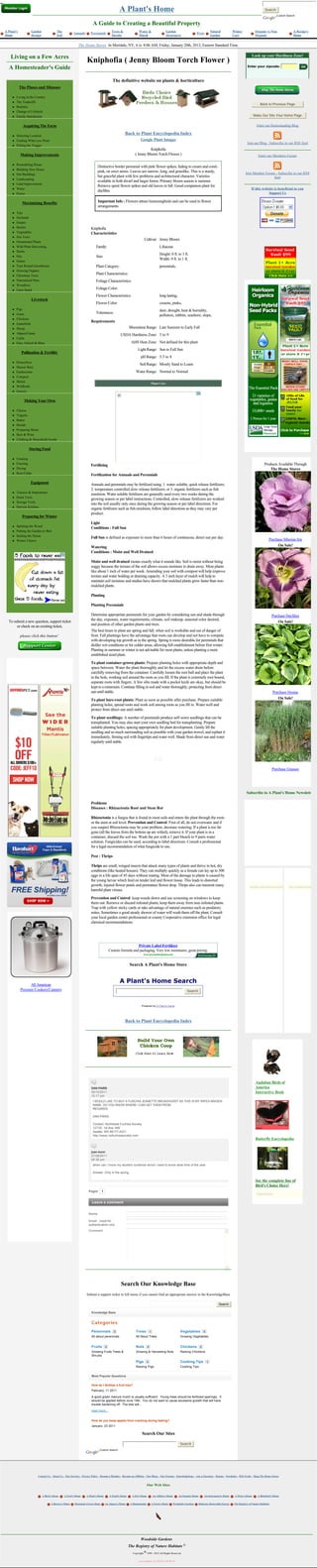 A Plant's Home                                                                                                                      Search
                                                                                                                                                                                                                                             Custom Search


                                                                          A Guide to Creating a Beautiful Property
A Plant's          Garden               The                                              Trees &                Water &                        Garden                                   Natural        Winter             Organic vs Non-                A Recipe's
                                                      Annuals        Perennials                                                                                          Pests
Home               Design               Soil                                             Shrubs                 Marsh                          Structures                               Garden         Care               Organic                        Home


                                                          The Home Stores In Meridale, NY, it is: 8:06 AM, Friday, January 20th, 2012, Eastern Standard Time.

    Living on a Few Acres                                                                                                                                                                                              Look up your Hardiness Zone!
                                                                  Kniphofia ( Jenny Bloom Torch Flower )
  A Homesteader's Guide                                                                                                                                                                                            Enter your zipcode:                         



                                                                                          The definitive website on plants & horticulture                                                                                     Trees at Arborday.org

            The Pluses and Minuses

     l   Living in the Country
     l   The Tradeoffs
                                                                                                                                                                                                                              Back to Previous Page
     l   Realities
     l   Change of Lifestyle
     l   Family Satisfaction                                                                                                                                                                                            Make Our Site Your Home Page


              Acquiring The Farm                                                                                                                                                                                           Enter our Homesteading Blog

     l   Selecting Location
                                                                                                   Back to Plant Encyclopedia Index
     l   Finding What you Want                                                                                   Google Plant Images
                                                                                                                                                                                                                   Join our Blog - Subscribe to our RSS feed
     l   Pulling the Trigger
                                                                                                                       Kniphofia
            Making Improvements                                                                              ( Jenny Bloom Torch Flower )                                                                                    Enter our Members Forum

     l   Remodeling House
                                                                             Distinctive border perennial with pink flower spikes, fading to cream and coral-
     l   Building New House
                                                                             pink, on erect stems. Leaves are narrow, long, and grasslike. This is a sturdy,                                                      Join Member Forum - Subscribe to our RSS
     l   Out Buildings
                                                                             but graceful plant with few problems and architectural character. Varieties                                                                           feed
     l   Landscaping
                                                                             available in both dwarf and larger forms. Primary bloom season is summer.
     l   Land Improvement
                                                                             Remove spent flower spikes and old leaves in fall. Good companion plant for
     l   Water                                                                                                                                                                                                         If this website is beneficial to you
                                                                             daylilies.
     l   Power                                                                                                                                                                                                                     Support Us

             Maximizing Benefits                                             Important Info : Flowers attract hummingbirds and can be used in flower
                                                                             arrangements.
     l   Tips
     l   Orchards
     l   Grapes
     l   Berries                                                     Kniphofia
     l   Vegetables                                                  Characteristics
     l   Nut Trees
                                                                                                                       Cultivar: Jenny Bloom  
     l   Ornamental Plants
     l   Wild Plant Harvesting                                              Family:                                                     Liliaceae  
     l   Herbs
                                                                                                                                        Height: 0 ft. to 3 ft.
     l   Hay                                                                Size:
                                                                                                                                        Width: 0 ft. to 1 ft.  
     l   Grains
     l   Year Round Greenhouse                                              Plant Category:                                             perennials,  
     l   Growing Organic
     l   Christmas Trees
                                                                            Plant Characteristics:                                       
     l   Naturalized Plots                                                  Foliage Characteristics:                                     
     l   Woodlots
     l   Farm Stand                                                         Foliage Color:                                               
                                                                            Flower Characteristics:                                     long lasting,  
                   Livestock
                                                                            Flower Color:                                               creams, pinks,  
     l   Pigs                                                                                                                           deer, drought, heat & humidity,
     l   Goats                                                              Tolerances:
                                                                                                                                        pollution, rabbits, seashore, slope,  
     l   Chickens
                                                                     Requirements
     l   Gamebirds
     l   Sheep                                                                                          Bloomtime Range: Late Summer to Early Fall  
     l   Alpaca/Llama                                                                           USDA Hardiness Zone: 5 to 9  
     l   Cattle
     l   Emu, Ostrich & Rhea                                                                             AHS Heat Zone: Not defined for this plant  
                                                                                                               Light Range: Sun to Full Sun  
             Pollination & Fertility
                                                                                                                 pH Range: 5.5 to 8  
     l   Honeybees
                                                                                                                Soil Range: Mostly Sand to Loam  
     l   Mason Bees
     l   Earthworms                                                                                          Water Range: Normal to Normal  
     l   Compost
     l   Mulch
                                                                                                                                  Plant Care
     l   Wildbirds
     l   Insects

              Making Your Own

     l   Cheese
     l   Yogurts
     l   Butter
     l   Breads
     l   Preparing Meats
     l   Beer & Wine
     l   Clothing & Household Goods

                  Storing Food

     l   Canning
     l   Freezing                                                                                                                                                                                                                 Products Available Through
                                                                     Fertilizing
     l   Drying                                                                                                                                                                                                                       The Home Stores
     l   Root Cellar
                                                                     Fertilization for Annuals and Perennials
                   Equipment                                         Annuals and perennials may be fertilized using: 1. water-soluble, quick release fertilizers;
                                                                     2. temperature controlled slow-release fertilizers; or 3. organic fertilizers such as fish
     l   Tractors & Implements
                                                                     emulsion. Water soluble fertilizers are generally used every two weeks during the
     l   Hand Tools
                                                                     growing season or per label instructions. Controlled, slow-release fertilizers are worked
     l   Storage Tools
                                                                     into the soil usually only once during the growing season or per label directions. For
     l   Harvest Kitchen
                                                                     organic fertilizers such as fish emulsion, follow label directions as they may vary per
                                                                     product.
             Preparing for Winter
                                                                     Light
     l   Splitting the Wood
                                                                     Conditions : Full Sun
     l   Putting the Garden to Bed
     l   Sealing the House
                                                                     Full Sun is defined as exposure to more than 6 hours of continuous, direct sun per day.
     l   Winter Chores                                                                                                                                                                                                                Purchase Siberian Iris
                                                                     Watering                                                                                                                                                              On Sale!
                                                                     Conditions : Moist and Well Drained

                                                                     Moist and well drained means exactly what it sounds like. Soil is moist without being
                                                                     soggy because the texture of the soil allows excess moisture to drain away. Most plants
                                                                     like about 1 inch of water per week. Amending your soil with compost will help improve
                                                                     texture and water holding or draining capacity. A 3 inch layer of mulch will help to
                                                                     maintain soil moisture and studies have shown that mulched plants grow faster than non-
                                                                     mulched plants.

                                                                     Planting

                                                                     Planting Perennials

                                                                     Determine appropriate perennials for your garden by considering sun and shade through                                                                                Purchase Daylilies
                                                                     the day, exposure, water requirements, climate, soil makeup, seasonal color desired,
  To submit a new question, support ticket                                                                                                                                                                                                    On Sale!
                                                                     and position of other garden plants and trees.
       or check on an existing ticket,
                                                                     The best times to plant are spring and fall, when soil is workable and out of danger of
            please click this button!                                frost. Fall plantings have the advantage that roots can develop and not have to compete
                                                                     with developing top growth as in the spring. Spring is more desirable for perennials that
                                                                     dislike wet conditions or for colder areas, allowing full establishment before first winter.
                                                                     Planting in summer or winter is not advisable for most plants, unless planting a more
                                                                     established sized plant.

                                                                     To plant container-grown plants: Prepare planting holes with appropriate depth and
                                                                     space between. Water the plant thoroughly and let the excess water drain before
                                                                     carefully removing from the container. Carefully loosen the root ball and place the plant
                                                                     in the hole, working soil around the roots as you fill. If the plant is extremely root bound,
                                                                     separate roots with fingers. A few slits made with a pocket knife are okay, but should be
                                                                     kept to a minimum. Continue filling in soil and water thoroughly, protecting from direct
                                                                     sun until stable.                                                                                                                                                    Purchase Hostas
                                                                     To plant bare-root plants: Plant as soon as possible after purchase. Prepare suitable                                                                                   On Sale!
                                                                     planting holes, spread roots and work soil among roots as you fill in. Water well and
                                                                     protect from direct sun until stable.

                                                                     To plant seedlings: A number of perennials produce self-sown seedlings that can be
                                                                     transplanted. You may also start your own seedling bed for transplanting. Prepare
                                                                     suitable planting holes, spacing appropriately for plant development. Gently lift the
                                                                     seedling and as much surrounding soil as possible with your garden trowel, and replant it
                                                                     immediately, firming soil with fingertips and water well. Shade from direct sun and water
                                                                     regularly until stable.




                                                                                                                                                                                                                                          Purchase Grasses




                                                                                                                                                                                                                  Subscribe to A Plant's Home Newsletter

                                                                     Problems
                                                                     Diseases : Rhizactonia Root and Stem Rot

                                                                     Rhizoctonia is a fungus that is found in most soils and enters the plant through the roots
                                                                     or the stem at soil level. Prevention and Control: First of all, do not overwater and if
                                                                     you suspect Rhizoctonia may be your problem, decrease watering. If a plant is too far
                                                                     gone (all the leaves from the bottom up are wilted), remove it. If your plant is in a
                                                                     container, discard the soil too. Wash the pot with a 1 part bleach to 9 parts water
                                                                     solution. Fungicides can be used, according to label directions. Consult a professional
                                                                     for a legal recommendation of what fungicide to use.

                                                                     Pest : Thrips

                                                                     Thrips are small, winged insects that attack many types of plants and thrive in hot, dry
                                                                     conditions (like heated houses). They can multiply quickly as a female can lay up to 300
                                                                     eggs in a life span of 45 days without mating. Most of the damage to plants is caused by
                                                                     the young larvae which feed on tender leaf and flower tissue. This leads to distorted
                                                                     growth, injured flower petals and premature flower drop. Thrips also can transmit many                                                          payday cash advance loan        very cheap tramadol
                                                                     harmful plant viruses.

                                                                     Prevention and Control: keep weeds down and use screening on windows to keep
                                                                     them out. Remove or discard infested plants, keep them away from non-infested plants.
                                                                     Trap with yellow sticky cards or take advantage of natural enemies such as predatory
                                                                     mites. Sometimes a good steady shower of water will wash them off the plant. Consult
                                                                     your local garden center professional or county Cooperative extension office for legal
                                                                     chemical recommendations.




                                                                                                                Private Label Fertilizer
                                                                                        Custom formula and packaging. Very low minimums, great pricing.
                                                                                                                       www.privatelabelgarden.com



                                                                                                        Search A Plant's Home Store


                                                                                               A Plant's Home Search
                  All American
            Pressure Cookers/Canners                                                                                                                            Search



                                                                                                                  Powered by A Plant's Home




                                                                                                   Back to Plant Encyclopedia Index




                                                                                                                                                                                                                          Audubon Birds of
                                                                      DAN PARIS                                                                                                                                           America
                                                                      30/10/2011                                                                                                                                          Interactive Book
                                                                      10:17 pm
                                                                          I WOULD LIKE TO BUY A FUSCHIA JEANETTE BROADHURST AS THIS IS MY WIFES MAIDEN
                                                                          NAME, DO YOU KNOW WHERE I CAN GET THEM FROM.
                                                                          REGARDS

                                                                          DAN PARIS

                                                                          Contact: Northwest Fuchsia Society
                                                                          12735- 1st Ave. NW
                                                                          Seattle, WA 98177-4221
                                                                          http://www.nwfuchsiasociety.com
                                                                                                                                                                                                                          Butterfly Encyclopedia


                                                                      joan bunn
                                                                      27/08/2011
                                                                      06:36 pm
                                                                          when can i move my abutilon suntense shrub i need to know what time of the year.

                                                                          Answer: Only in the spring.

                                                                                                                                                                                                                          See the complete line of
                                                                                                                                                                                                                          Bird's Choice Here!
                                                                   Pages:       1
                                                                                                                                                                                                                            Boys Games


                                                                      Leave a comment


                                                                   Name

                                                                   Email - Used for
                                                                   authentication only
                                                                   Comment




                                                                                                Search Our Knowledge Base
                                                                  Submit a support ticket in left menu if you cannot find an appropriate answer in the KnowledgeBase

                                                                                                                                                                                             Search

                                                                      Knowledge Base


                                                                      Categories
                                                                      Perennials           0                 Trees            1                            Vegetables           0
                                                                      All about perennials                   All About Trees                               Growing Vegetables

                                                                       
                                                                      Fruits        0                        Nuts         0                                Chickens         0
                                                                      Growing Fruits Trees &                 Growing & Harvesting Nuts                     Raising Chickens
                                                                      Shrubs

                                                                                                             Pigs        0                                 Cooking Tips             1
                                                                       
                                                                                                             Raising Pigs                                  Cooking Tips


                                                                      Most Popular Questions

                                                                      How do I fertilize a fruit tree?
                                                                      February, 11 2011

                                                                      A good green manure mulch is usually sufficient.  Young trees should be fertilized sparingly.  It 
                                                                      should be applied before June 15th.  You do not want to cause excessive growth that will have 
                                                                      trouble hardening off.  The tree will...

                                                                      read more...


                                                                      How do you keep apples from cracking during baking?
                                                                      January, 23 2011

                                                                                                                  Search Our Sites

                                                                                                                                                           Search
                                                                               Custom Search




                        Contact Us - About Us - Our Services - Privacy Policy - Become a Member - Become an Affiliate - Our Blogs - Our Forums - Knowledgebase - Ask a Question - Donate - Newsletter - RSS Feeds - Shop The Home Stores


                                                                                                                         Our Web Sites

                            A Bird's Home      A Fowl's Home     A Plant's Home         A Pond's Home     A Pet's Home            An Athlete's Home       An Organic Home       An Instrument's Home    A Wine's Home       A Bluebird's Home


                                   A Brewer's Home     Mountain Grown Hops          An Alpaca's Home     A Homesteader            A Farm's Home       Woodside Gardens    Delaware Renewable Energy     The Registry of Nature Habitats




                                                                                                                 Woodside Gardens
                                                                                                        The Registry of Nature Habitats
                                                                                                           Copyright     1999 - 2012 All Rights Reserved


                                                                                                               Last Updated: 01/20/2012 08:06:03
 