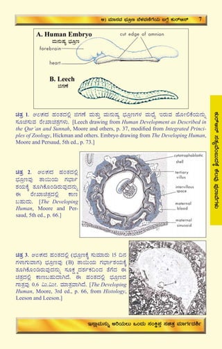 11
avÀæ 1. C®PÀBzÀ ºÀAvÀzÀ°è fUÀuÉ ªÀÄvÀÄÛ ªÀÄ£ÀÄμÀå ¨sÀÆætUÀ¼À ªÀÄzsÉå EgÀÄªÀ ºÉÆÃ°PÉAiÀÄ£ÀÄß
¸ÀÆa¸ÀÄªÀ gÉÃSÁavÀæUÀ¼ÀÄ. [Leech drawing from Human Development as Described in
the Qur’an and Sunnah, Moore and others, p. 37, modiﬁed from Integrated Princi-
ples of Zoology, Hickman and others. Embryo drawing from The Developing Human,
Moore and Persaud, 5th ed., p. 73.]
avÀæ 2. C®PÀBzÀ ºÀAvÀzÀ°è
¨sÀÆætªÀÅ vÁ¬ÄAiÀÄ UÀ¨sÁð
±ÀAiÀÄPÉÌ vÀÆVPÉÆArgÀÄªÀÅzÀ£ÀÄß
F gÉÃSÁavÀæzÀ°è PÁt
§ºÀÄzÀÄ. [The Developing
Human, Moore and Per-
saud, 5th ed., p. 66.]
avÀæ 3. C®PÀBzÀ ºÀAvÀzÀ°è (¨sÀÆætPÉÌ ¸ÀÄªÀiÁgÀÄ 15 ¢£À
UÀ¼ÁUÀÄªÁUÀ) ¨sÀÆætªÀÅ (B) vÁ¬ÄAiÀÄ UÀ¨sÁð±ÀAiÀÄPÉÌ
vÀÆVPÉÆArgÀÄªÀÅzÀ£ÀÄß ¸ÀÆPÀë÷äzÀ±ÀðPÀ¢AzÀ vÉUÉzÀ F
avÀæzÀ°è PÁt§ºÀÄzÁVzÉ. F ºÀAvÀzÀ°è ¨sÀÆætzÀ
UÁvÀæªÀÅ 0.6 «Ä.«ÄÃ. ªÀiÁvÀæªÁVzÉ. [The Developing
Human, Moore, 3rd ed., p. 66, from Histology,
Leeson and Leeson.]
PÀÄgïD£ï¸ÀvÀåªÉA§ÄzÀPÉÌPÉ®ªÀÅ¥ÀÅgÁªÉUÀ¼ÀÄ
C) ªÀiÁ£ÀªÀ ¨sÀÆæt ¨É¼ÀªÀtÂUÉAiÀÄ §UÉÎ PÀÄgïD£ï 7
E¸ÁèªÀÄ£ÀÄß CjAiÀÄ®Ä MAzÀÄ ¸ÀAQë¥ÀÛ ¸ÀavÀæ ªÀiÁUÀðzÀ²ð
ªÀÄ£ÀÄμÀå ¨sÀÆæt
fUÀuÉ
 