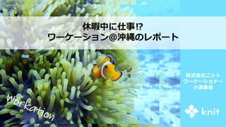 株式会社ニット
ワーケーショナー
小澤美佳
 