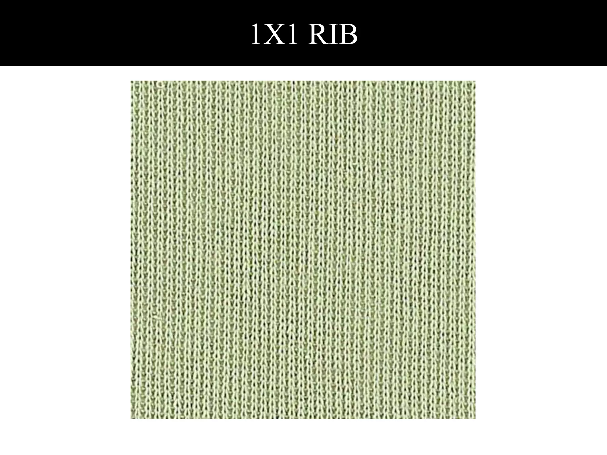 1X1 RIB