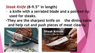 SANTUO 12-piece Dinner Knives, Serrated 18/10 Stainless Steel Steak Knife  Set of 12 (9.05 -inch)