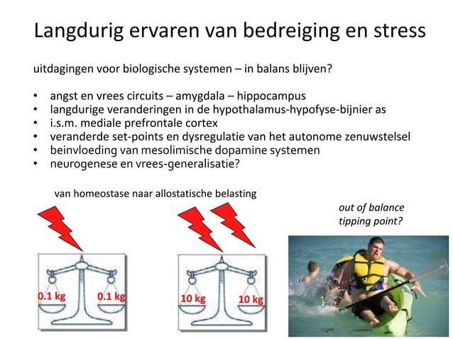 Neurobiologie van trauma en veerkracht | PPTX | Brain and Nervous