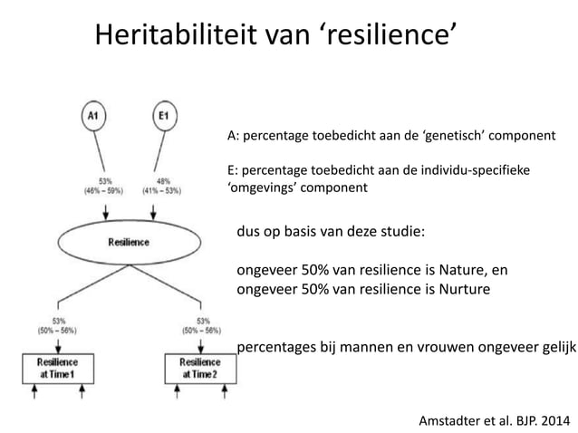 Neurobiologie van trauma en veerkracht | PPTX | Brain and Nervous