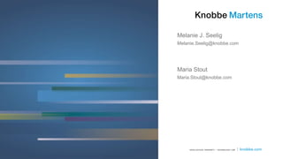 Maria Stout
Maria.Stout@knobbe.com
Melanie J. Seelig
Melanie.Seelig@knobbe.com
 