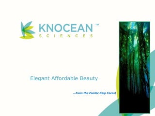 Elegant Affordable Beauty
…from the Pacific Kelp Forest
™
 