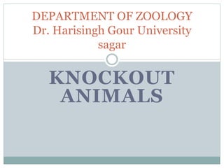 KNOCKOUT
ANIMALS
DEPARTMENT OF ZOOLOGY
Dr. Harisingh Gour University
sagar
 