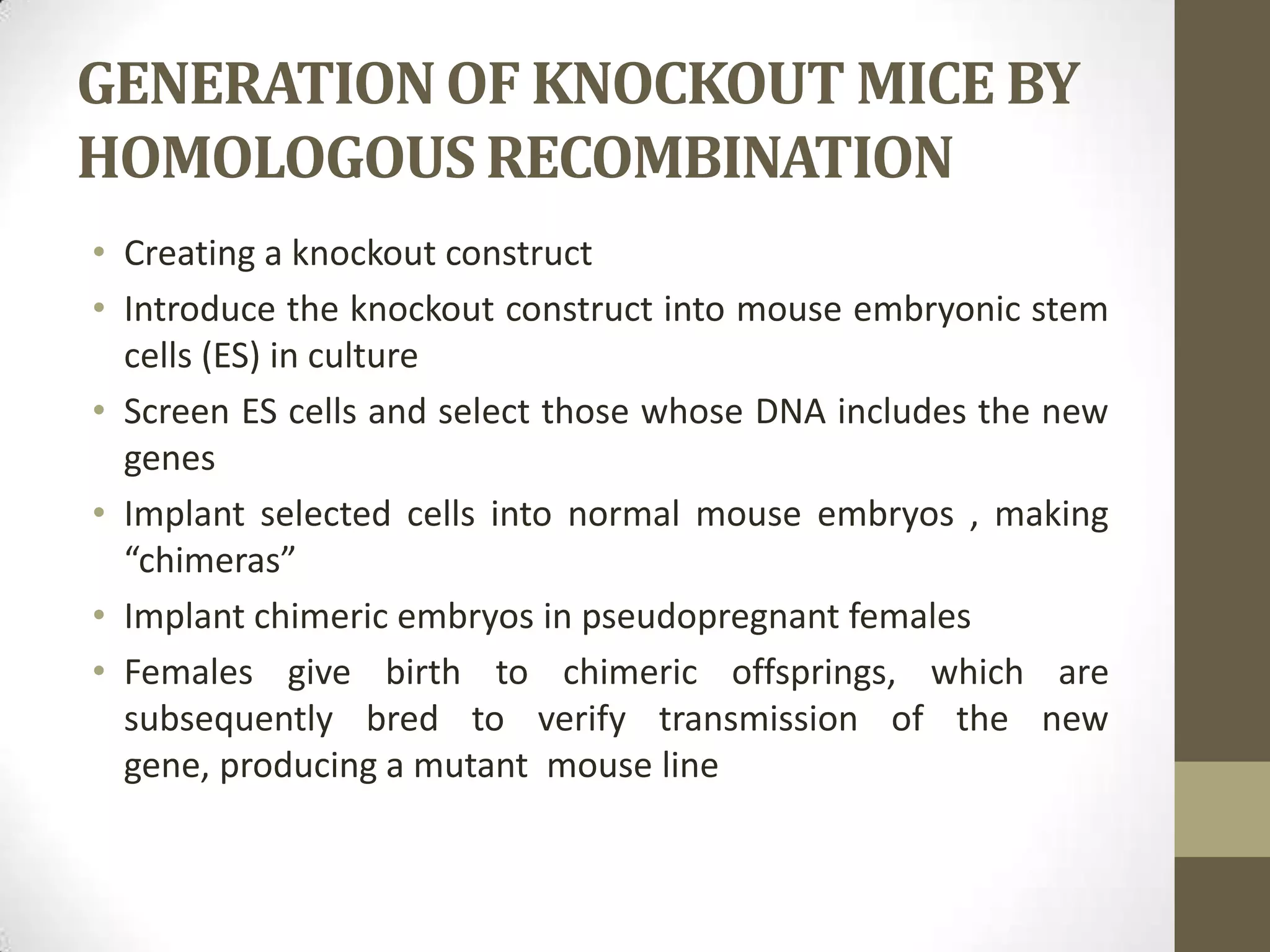GENERATIONOF KNOCKOUT MICE BY
HOMOLOGOUS RECOMBINATION
• Creating a knockout construct
• Introduce the knockout construct into mouse embryonic stem
cells (ES) in culture
• Screen ES cells and select those whose DNA includes the new
genes
• Implant selected cells into normal mouse embryos , making
“chimeras”
• Implant chimeric embryos in pseudopregnant females
• Females give birth to chimeric offsprings, which are
subsequently bred to verify transmission of the new
gene, producing a mutant mouse line
 