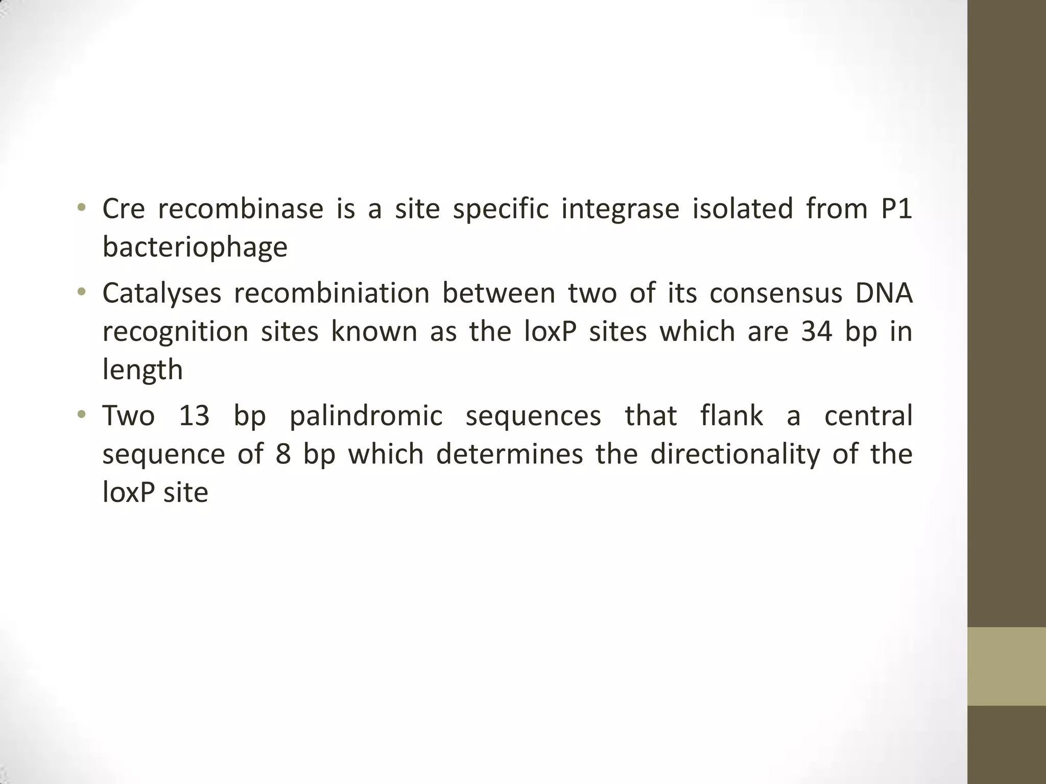 • Cre recombinase is a site specific integrase isolated from P1
bacteriophage
• Catalyses recombiniation between two of its consensus DNA
recognition sites known as the loxP sites which are 34 bp in
length
• Two 13 bp palindromic sequences that flank a central
sequence of 8 bp which determines the directionality of the
loxP site
 