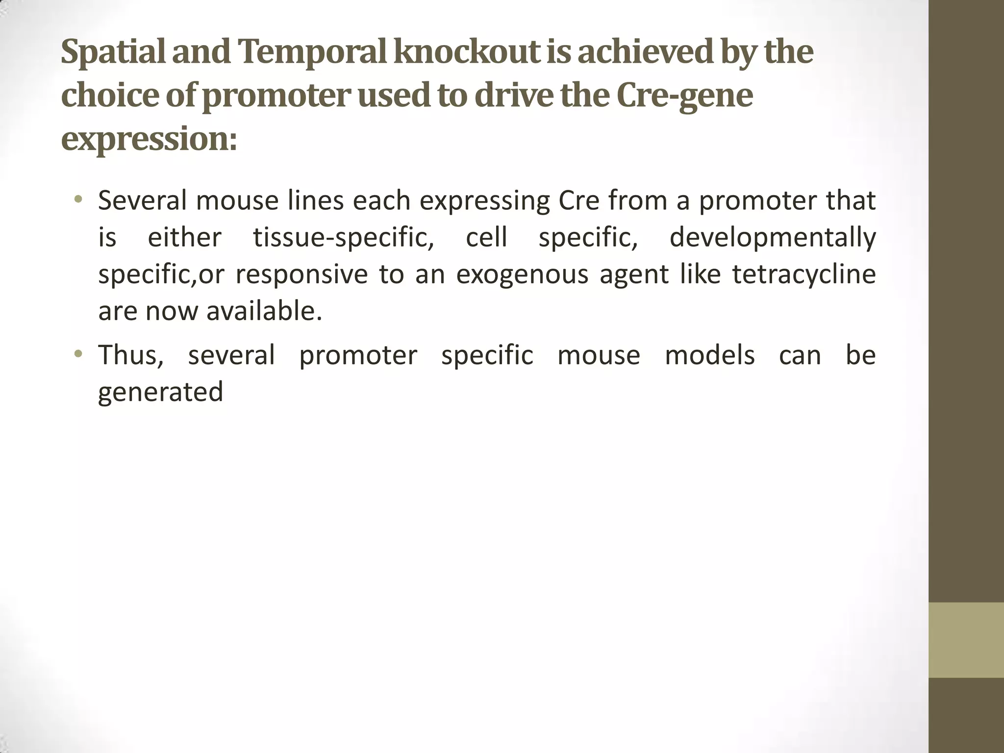 SpatialandTemporalknockoutisachievedbythe
choiceofpromoterusedtodrivetheCre-gene
expression:
• Several mouse lines each expressing Cre from a promoter that
is either tissue-specific, cell specific, developmentally
specific,or responsive to an exogenous agent like tetracycline
are now available.
• Thus, several promoter specific mouse models can be
generated
 