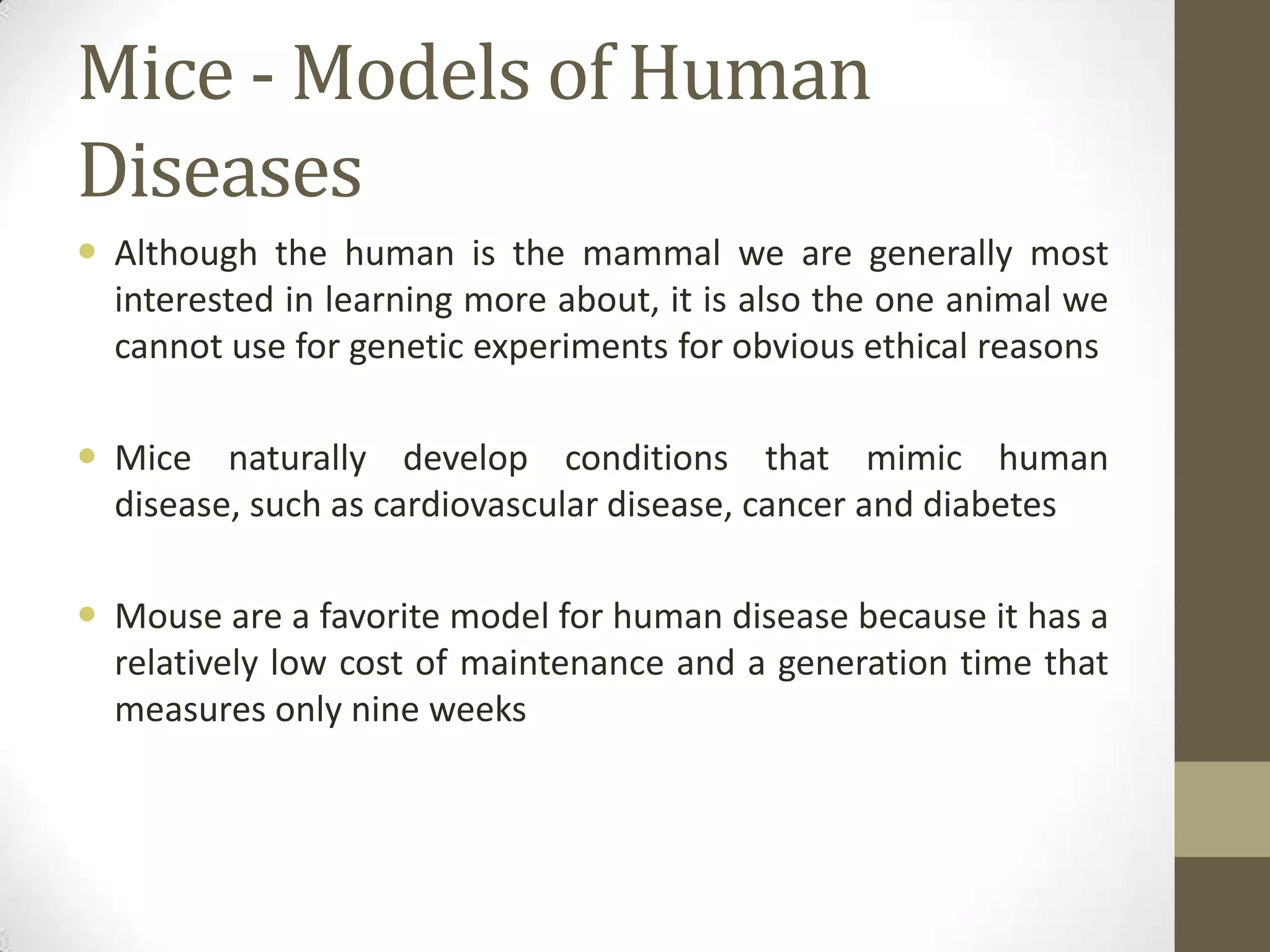 Mice - Models of Human
Diseases
 Although the human is the mammal we are generally most
interested in learning more about, it is also the one animal we
cannot use for genetic experiments for obvious ethical reasons
 Mice naturally develop conditions that mimic human
disease, such as cardiovascular disease, cancer and diabetes
 Mouse are a favorite model for human disease because it has a
relatively low cost of maintenance and a generation time that
measures only nine weeks
 