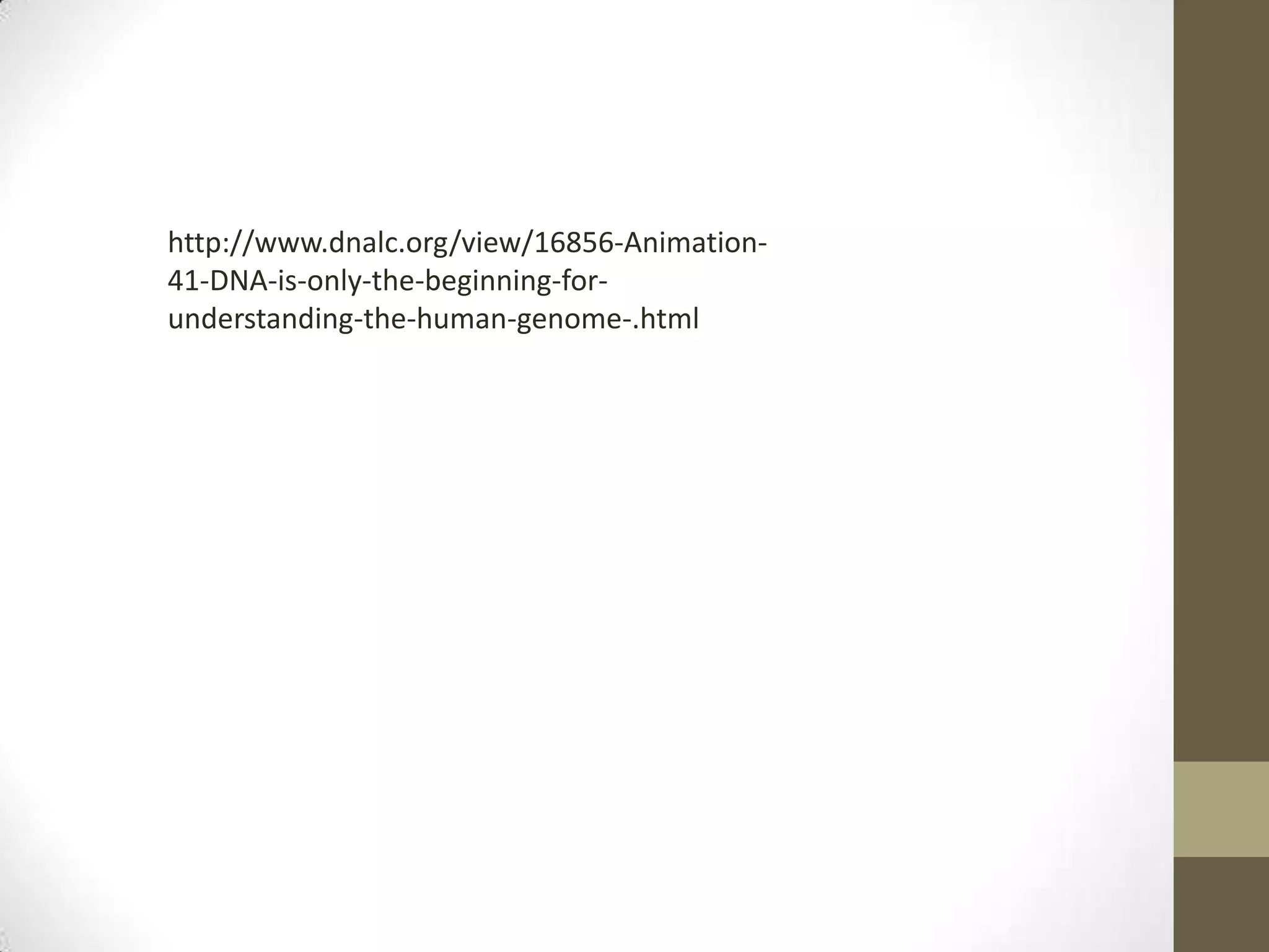 http://www.dnalc.org/view/16856-Animation-
41-DNA-is-only-the-beginning-for-
understanding-the-human-genome-.html
 