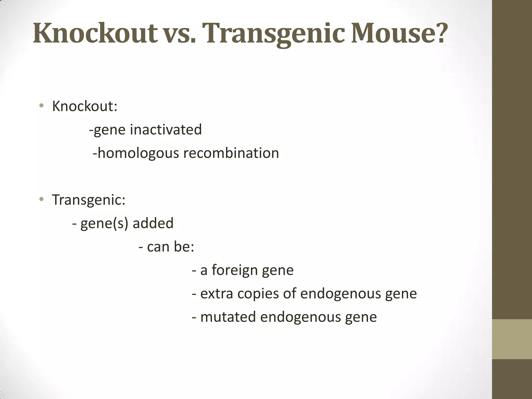 Knockout vs. Transgenic Mouse?
• Knockout:
-gene inactivated
-homologous recombination
• Transgenic:
- gene(s) added
- can be:
- a foreign gene
- extra copies of endogenous gene
- mutated endogenous gene
 