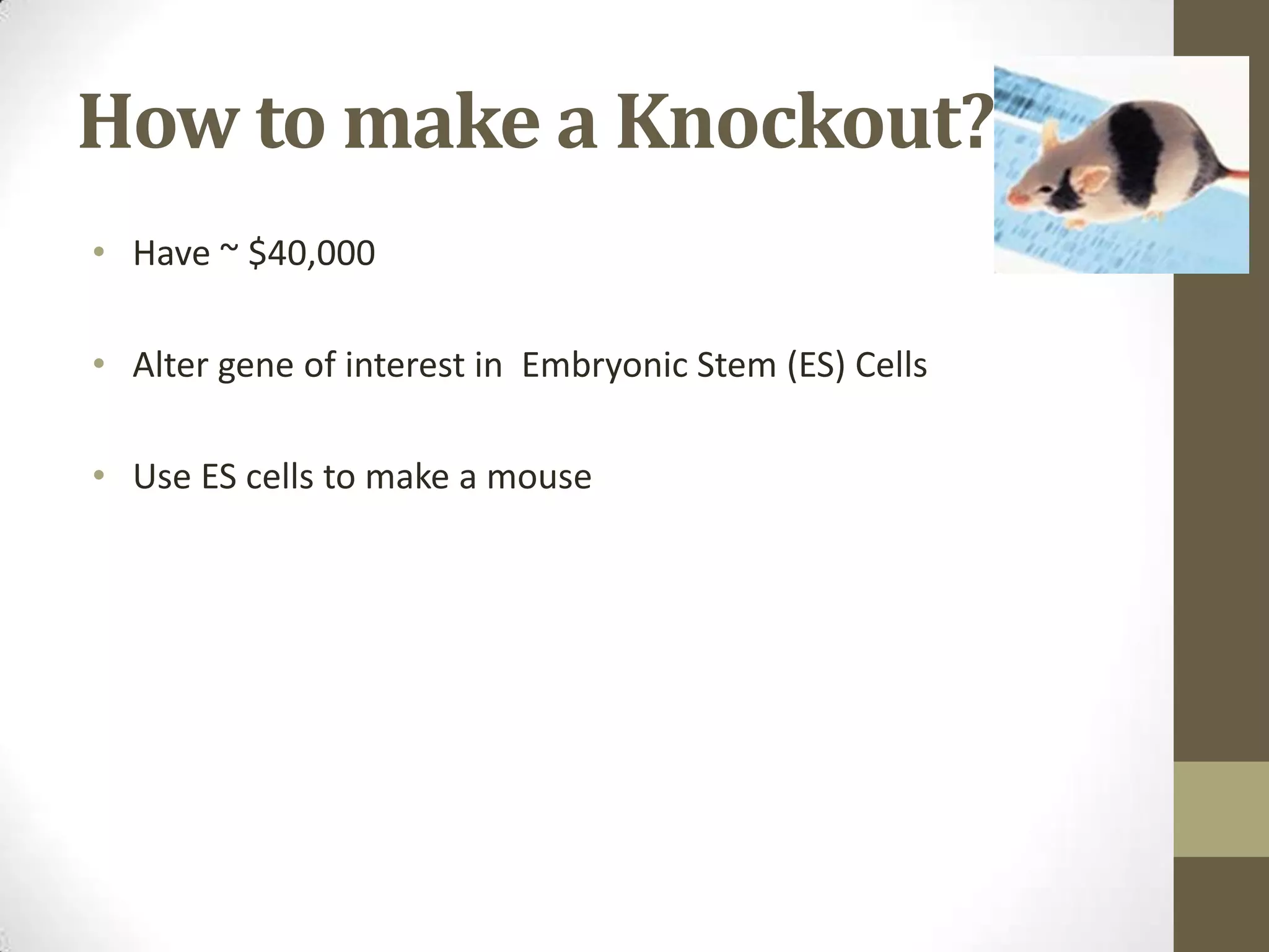 How to make a Knockout?
• Have ~ $40,000
• Alter gene of interest in Embryonic Stem (ES) Cells
• Use ES cells to make a mouse
 