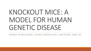 KNOCKOUT MICE: A
MODEL FOR HUMAN
GENETIC DISEASE
AHMAD SHARIFUDDIN, CHUNG CHOON KHAII, SAM KHOO, ZABU KO
 