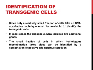 IDENTIFICATION OF
TRANSGENIC CELLS
• Since only a relatively small fraction of cells take up DNA,
a selective technique must be available to identify the
transgenic cells
• In most cases the exogenous DNA includes two additional
genes
• The small fraction of cells in which homologous
recombination takes place can be identified by a
combination of positive and negative selection
 