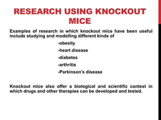 RESEARCH USING KNOCKOUT
MICE
Examples of research in which knockout mice have been useful
include studying and modelling different kinds of
-obesity
-heart disease
-diabetes
-arthritis
-Parkinson’s disease
Knockout mice also offer a biological and scientific context in
which drugs and other therapies can be developed and tested.
 