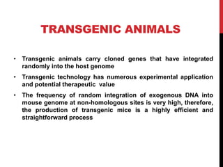 TRANSGENIC ANIMALS
• Transgenic animals carry cloned genes that have integrated
randomly into the host genome
• Transgenic technology has numerous experimental application
and potential therapeutic value
• The frequency of random integration of exogenous DNA into
mouse genome at non-homologous sites is very high, therefore,
the production of transgenic mice is a highly efficient and
straightforward process
 