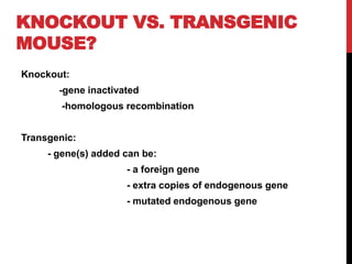 KNOCKOUT VS. TRANSGENIC
MOUSE?
Knockout:
-gene inactivated
-homologous recombination
Transgenic:
- gene(s) added can be:
- a foreign gene
- extra copies of endogenous gene
- mutated endogenous gene
 