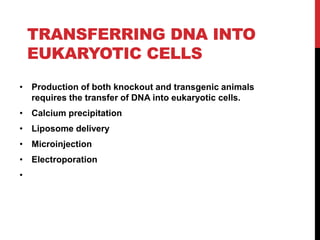TRANSFERRING DNA INTO
EUKARYOTIC CELLS
• Production of both knockout and transgenic animals
requires the transfer of DNA into eukaryotic cells.
• Calcium precipitation
• Liposome delivery
• Microinjection
• Electroporation
•
 